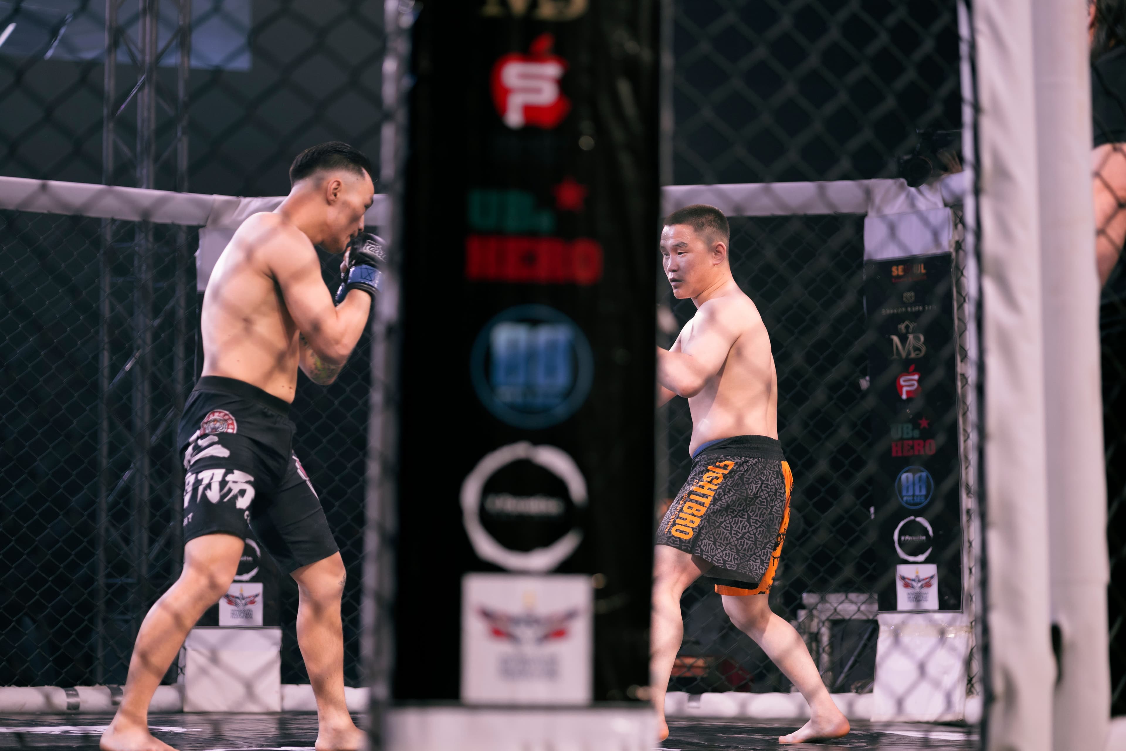 UFC typy na dziś – najlepsze analizy walk i prognozy MMA